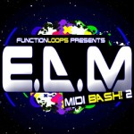 edm bash 2